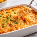Buffalo Chicken Dip Canned Chicken