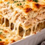 Chicken Alfredo Lasagna Recipe