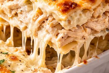Chicken Alfredo Lasagna Recipe
