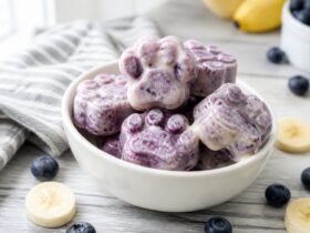 Frozen Blueberry Banana Dog Treats Recipe